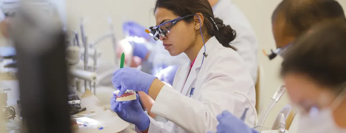 A row of dental medicine students practice examining teeth on a typodont